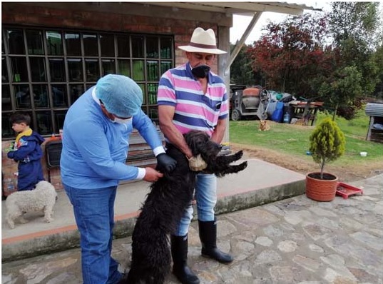  imagen:  Gran jornada de vacunación de perros y gatos contra la rabia en Cundinamarca
