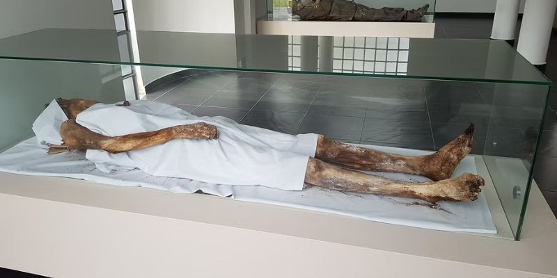 El misterio de las momias naturales en el municipio de San Bernardo