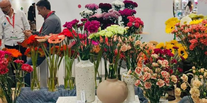 Cundinamarca florece en Proflora 2025: corazón de la floricultura colombiana
