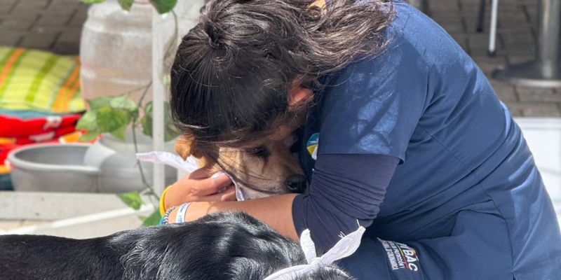 Cundinamarca impulsa el bienestar de quienes cuidan a los animales