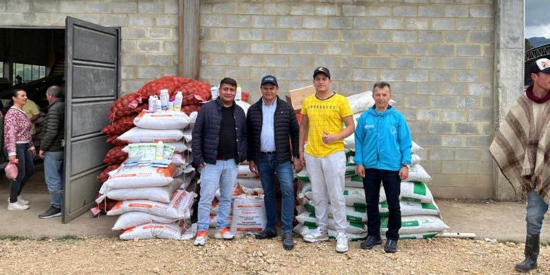 Más de $215 millones para mejorar la producción de papa en Cundinamarca con semilla certificada

