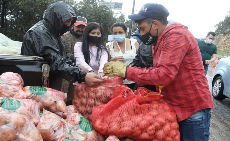 Papatón en Cundinamarca vendió más de 2.073 toneladas