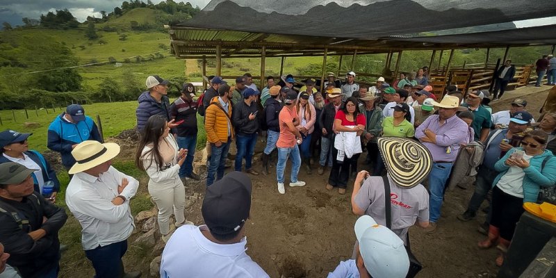 Ganaderos del Oriente cundinamarqués aplican biotecnología reproductiva para mejorar su productividad
