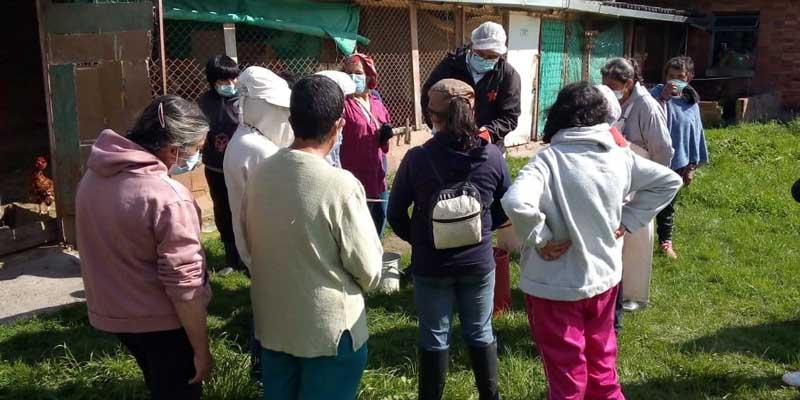 Usuarias del Centro Femenino Especial José Joaquín Vargas se capacitan en producción y comercialización de huevos


