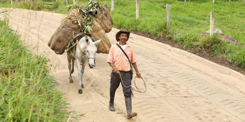 Competitividad compartida: Cundinamarca se transforma para todos


