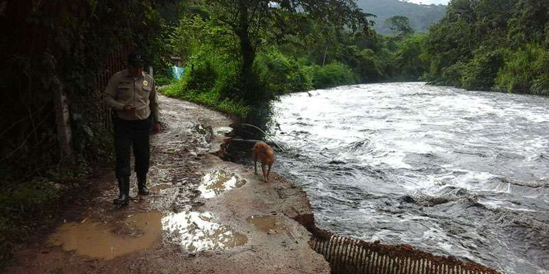 Alerta amarilla en zonas de riesgo por temporada invernal en Cundinamarca


































