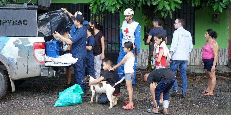 Atención integral a más de 120 animales afectados por el sismo en Paratebueno y Medina
